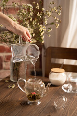 brewing flower tea in a glass teapot lifestyle