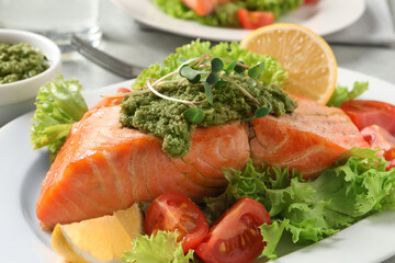 Obraz na płótnie Canvas Tasty cooked salmon with pesto sauce and fresh salad on plate, closeup