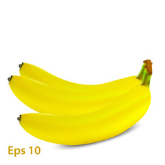 Realistic ripe banana bunch. Fresh yellow fruit for healthy eating, organic food adverts design