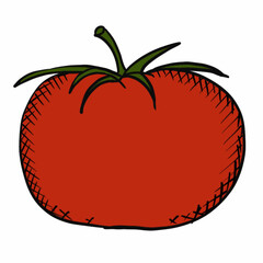 vegetables,foods,plants,food,vegan food,red,yellow,green,orange,healthy food products,healthy food,healthy nutrition,vitamins,cooking,cards for commercial use,educational cards,website illustration,fl