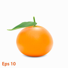 Mandarin. Tangerine. Sweet, ripe, fresh fruit. Isolated on white background. Eps10 vector illustration.
