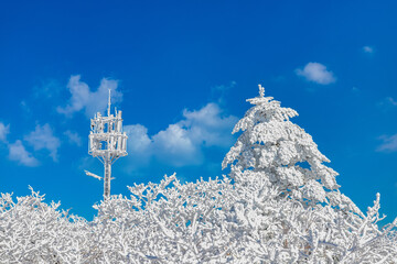 설경(덕유산설경)