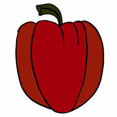 vegetables,foods,plants,food,vegan food,red,yellow,green,orange,healthy food products,healthy food,healthy nutrition,vitamins,cooking,cards for commercial use,educational cards,website illustration,fl