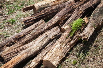 Pile of firewood, old chocks lay in a sunlight