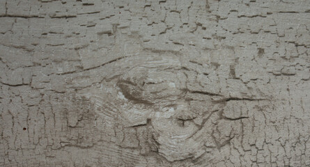 Grey wooden background of weathered distressed rustic wood with faded white paint showing woodgrain texture