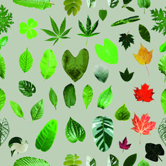 Various leaves  seamless pattern in natural green tones. can be used as pattern, background or modified into a variety of other formats.
์Nature leaf seamless pattern vector