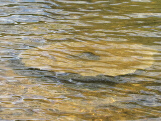 water in the lake