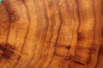 texture of wood