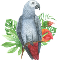 Watercolor tropical birds composition. Parrots illustration