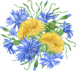 Watercolor wildflowers arrangements. Dandelion and cornflower composition perfect for invitation. Summer  flower arrangement