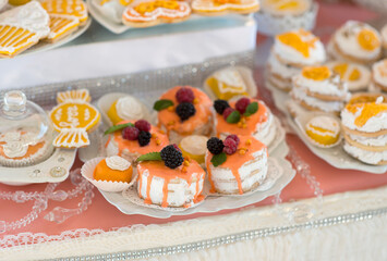Candy bar with berry cakes
