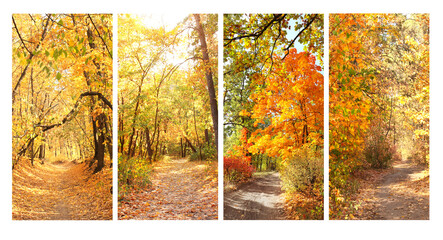 Calm fall season. Set of vertical banners with beautiful landscape and road in autumn forest