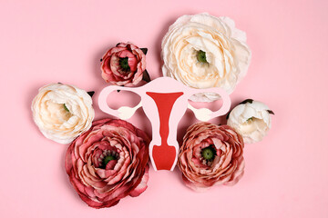 Symbolic model of the uterus with peonies flowers on a pink background.