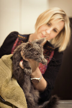 Breeder lady showering her Maine Coon Cat kitty at home