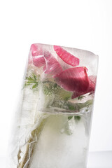 Transparent white ice with flowers frozen in it.