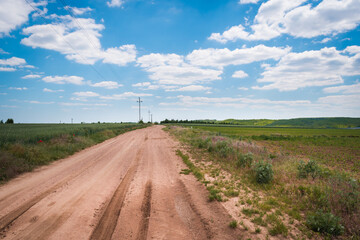 Naklejka premium Hungarian countryside in summer