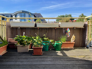 Balkonien, Balkon, Pflanzen, Erdbeerpflanzen, anbau, 