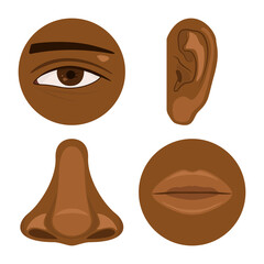 Dark human nose, ear, mouth and eye icon set vector