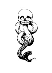 illustration of snake in vector