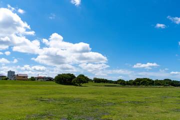 神奈川県相模三川公園の風景