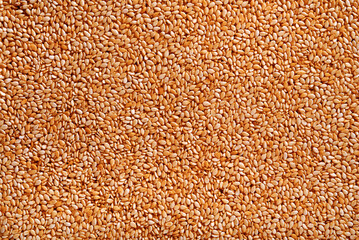 sesame grain closeup background for design