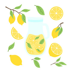 Jug with lemonade. Lemonade with lemon slices and mint. Homemade drink. Vector illustration in cartoon style.