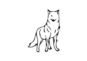 illustration of a fox in vector art