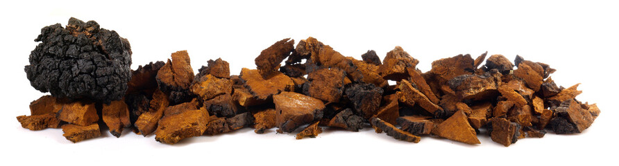 Chaga Mushroom Panorama isolated on white Background - Healthy Nutrition
