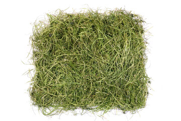Dry Grass - Hay Square isolated Panorama on white Background