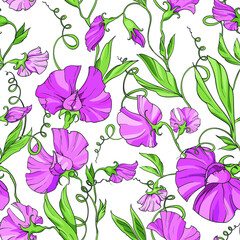 Pink flowers  sweet pea  on a white background,  floral seamless pattern. Pattern for fabric, wrapping paper, web pages, invitations, greeting cards