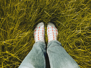 Legs on high yellow grass