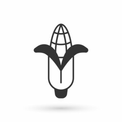 Grey Corn icon isolated on white background. Vector