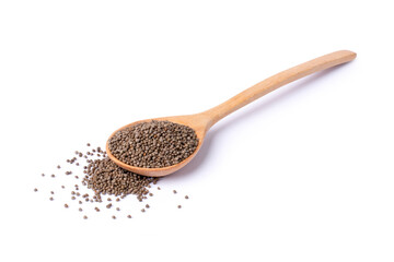 Perilla flutescens seeds in wooden spoon isolated on white background. 