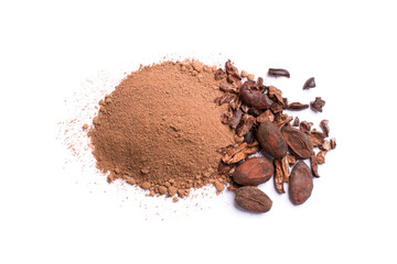 chocolate powder and cocoa beans