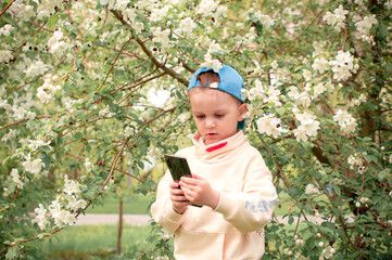 boy takes a selfie near a blooming apple tree. A boy stands by a flowering tree and looks at his mobile phone.