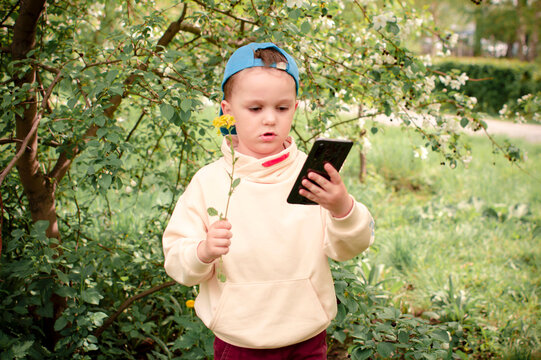 boy takes a selfie near a blooming apple tree. A boy stands by a flowering tree and looks at his mobile phone.