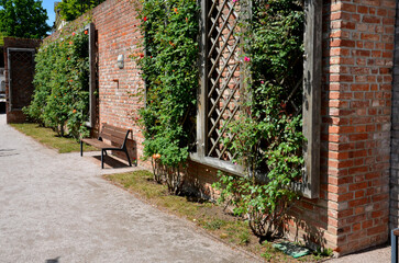 retaining walls and terraces with trellises and roses. Rectangular trimmed hedge of boxwood on the roof garden. backyards of Italian gardens with climbing wisteria