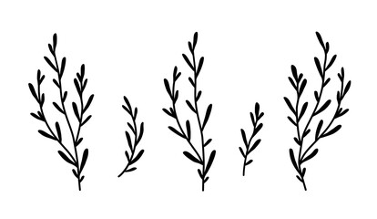 decorative olive laurel branches set with leaves