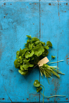Studio shot of bundle of Indian lettuce (Claytonia perfoliata) lying against wooden rustic background