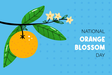 National Orange Blossom Day vector cartoon greeting card, illustration with orange on a branch with blooming flowers. June 27.
- 506370533