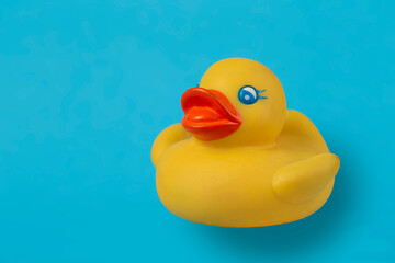 Yellow rubber duck for swimming on a blue background.