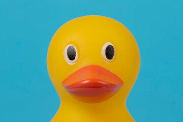 Muzzle yellow rubber duck for swimming on a blue background.