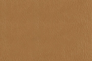 Texture of beige leather close up.