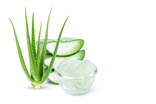 Aloe Vera gel with Aloevera plant and cut slice isolated on white  background. Skin care, health, beauty and spa concept. Copy space.  Stock-Foto | Adobe Stock