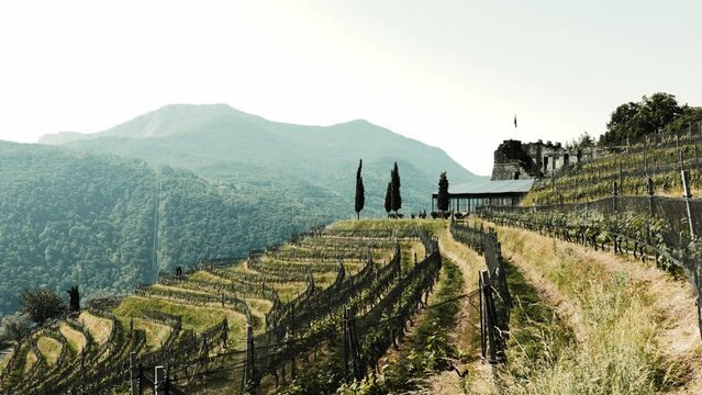Castle in Morcote on a Vineyard with Mountain View in a Sunny Summer Day in Ticino, Switzerland.