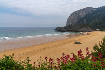 view of the picturesque bay and beach of Laga in the Spanish Basque Country