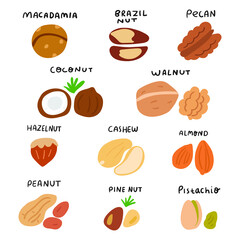 Collection of nuts illustrations. Hand drawn vector icons on white background.