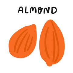Almond illustration. Vector flat icon on white background. 