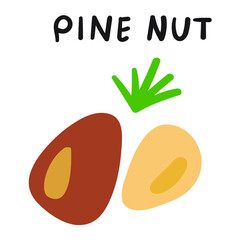 Pine nut illustration. Vector flat icon on white background. 