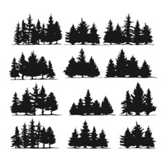 Pine Trees Silhouettes Vector Illustration